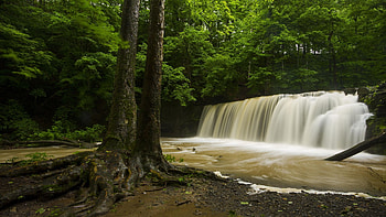 Spring Rains at Great Gully, Union Springs, NY, trees, river, forest, cascade, usa HD wallpaper