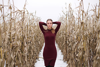 Red Dress Wheat Field, field, girls, dress, model HD wallpaper