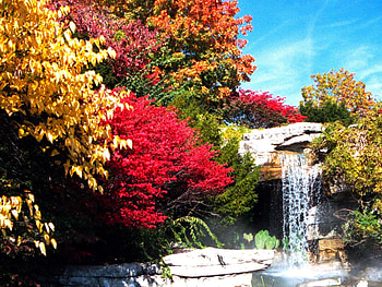 Waterfall, fall, trees, sky, nature HD wallpaper