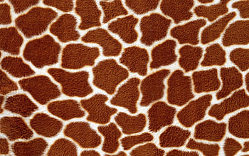Background, Texture, Lines, Textures, Fur HD wallpaper
