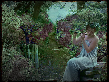 The Piper, fairy, flute, woods, piper HD wallpaper