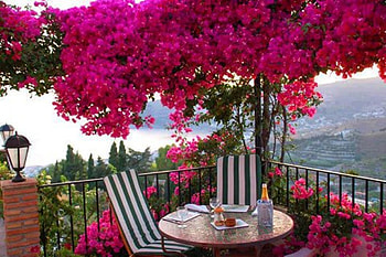 dream place, table, view, terrace, beauty, tree HD wallpaper