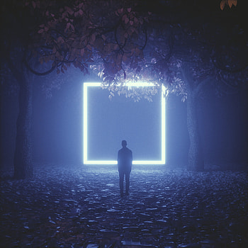 Trees, Dark, Silhouette, Neon, Cube HD phone wallpaper