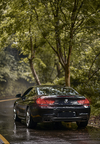 Sports, Bmw, Cars, Car, Machine, Back View, Rear View, Coupe, Compartment, Bmw 650I M Sport, Dark Blue, Sapphire HD phone wallpaper