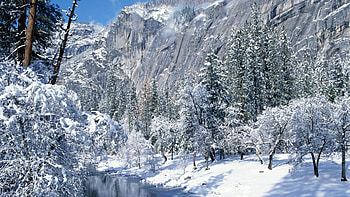 glorious winter scene, winter, river, cliffs, mountains, forest HD wallpaper