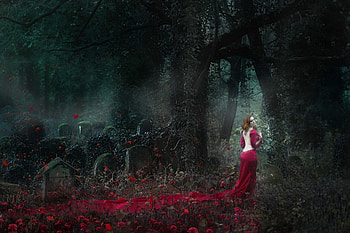 Graveyard, model, trees, forest, woman HD wallpaper
