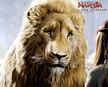 Aslan, The Chronicles of Narnia, aslan, the chronicles of narnia, fantasy, entertainment, movie, prince caspian, lion, narnia HD wallpaper