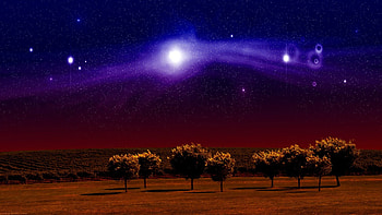Abstract night, night, dreams, art, tree HD wallpaper
