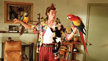 Jim Carrey, Ace Ventura, Pet detective, High-resolution HD wallpaper