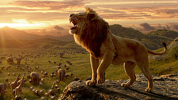 The Lion King Movie 10k, the-lion-king, lion, 2019-movies, movies, disney HD wallpaper