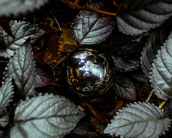Shine, Miscellanea, Miscellaneous, Brilliance, Ball, Foliage HD wallpaper