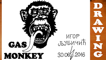 How to Draw a Chimpanzee Monkey Easy for Kids and color - Gas Monkey Garage Logo | HD wallpaper