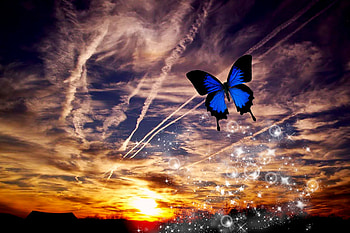 Sunset Butterfly, butterfly, fantasy, beautiful, nature, sunset HD wallpaper