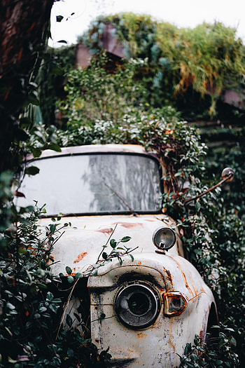 Bush, Miscellanea, Miscellaneous, Car, Ruin, Ruins, Rust HD phone wallpaper