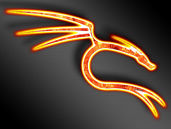Red dragon, dragon, orange, abstract, red HD wallpaper