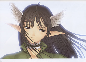 shining wind_2, anime, elf girl HD wallpaper