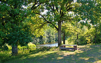 Oaks by River, bench, river, oaks, trees, Latvia HD wallpaper