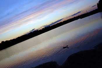 Dutch Tilt, lake, sunset HD wallpaper