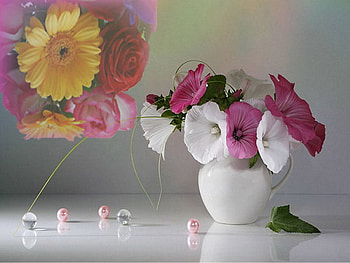 flowers, added flower, pot, flower HD wallpaper