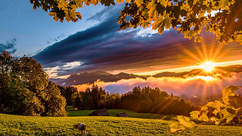 Meadow at sunset, trees, landscape, sky, sun, clouds HD wallpaper