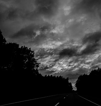 Nature, Trees, Dark, Road, Turn, Bw, Chb, Darkly HD phone wallpaper