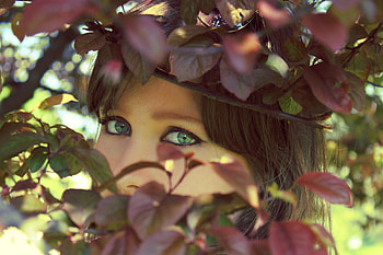 Gorgeous Green Eyes, leaves, gorgeous, girl, amazing, green eyes, beauty HD wallpaper