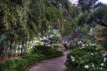 Nature, Flowers, Trees, Colors, Color, Bamboo, Track, Arboretum HD wallpaper