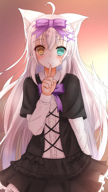 heterochromia, long hair, white hair, cat girl, Anime, Original HD phone wallpaper
