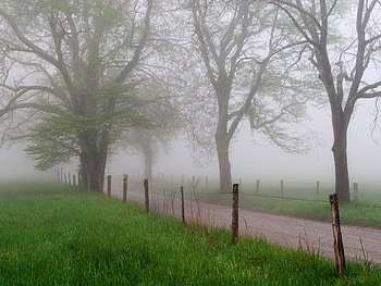 foggy road 1600, road, pathway, nature, foggy HD wallpaper