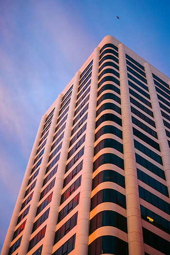 Sky, Architecture, Skyscraper, Building, Miscellanea, Miscellaneous, Bird HD phone wallpaper