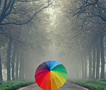 colorfully, umbrella, graphy, pretty, flowers HD wallpaper