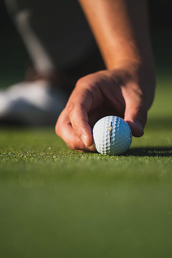 Sports, Grass, Golf, Hand, Ball, Fingers HD phone wallpaper