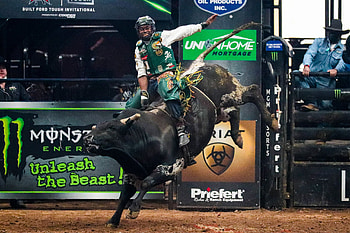 Professional Bull Riders, Bullriding HD wallpaper
