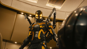 Paul Rudd, Ant-Man, Movies HD wallpaper