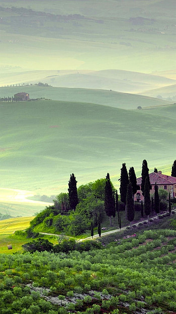 Tuscany , Italy hills, Meadows and fog, Natural beauty HD phone wallpaper