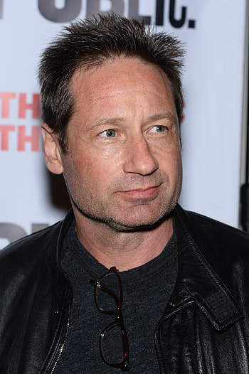 David Duchovny, Most viewed HD phone wallpaper