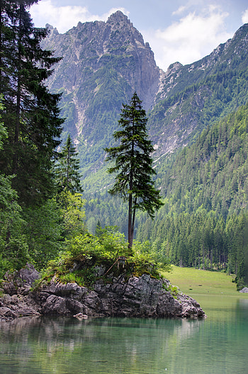 Landscape, Nature, Trees, Mountains, Lake, Shore, Bank HD phone wallpaper