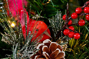 A Cardinal Christmas, cardinal bird, christmas decorations, cardinal HD wallpaper