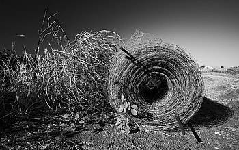 Nature, Black And White, Hay, Bale HD wallpaper