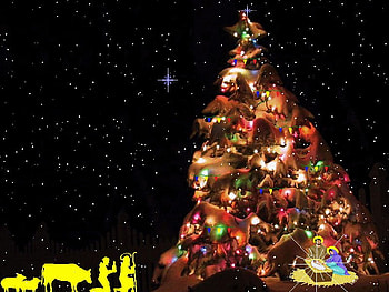 Christmas Nativity, abstract, nativity, christmas, collage HD wallpaper