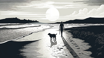 Sunny Beachside Stroll with Dog, seaside, dog, walking, artistic, beach HD wallpaper