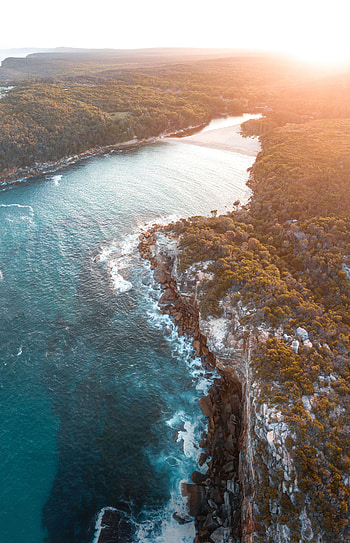 Nature, Trees, Sea, View From Above, Sunlight, Bay HD phone wallpaper