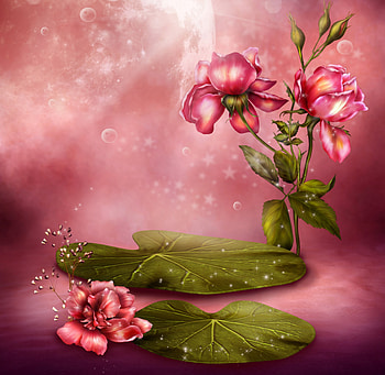 Pink Roses, pink, roses, art, vintage HD wallpaper