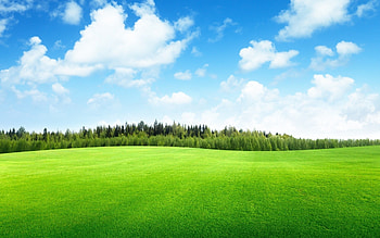 Landscape nature , Golf course views, que greenery, Sport venue HD wallpaper