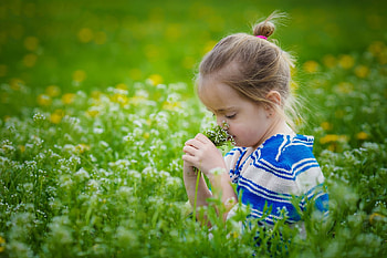 little girl, childhood, blonde, fair, nice, adorable, bonny, sweet, Belle, white, Hair, girl, grass, comely, sightly, pretty, green, face, lovely, pure, child, graphy, cute, baby, , set, Nexus, beauty, kid, roses, beautiful, people, little, pink, dainty HD wallpaper