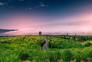 Road, landscape, adorable sky, plants HD wallpaper