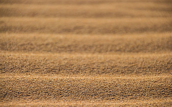 sand wavy textures, bokeh, sand wavy background, 3D textures, sand backgrounds, sand textures, background with sand HD wallpaper