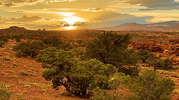 Capitol Reef NP (Goosenecks) after a fall thunderstorm, usa, trees, colors, landscape, clouds, sky, rocks, sun HD wallpaper