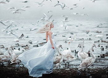 lady, model, graphy, beauty HD wallpaper