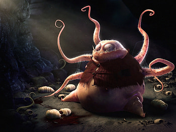 Funny HD wallpaper